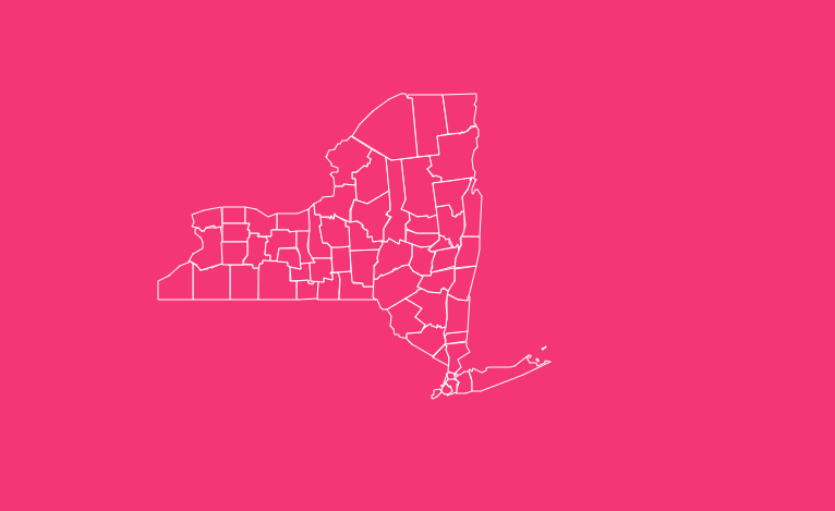 new york blank printable map